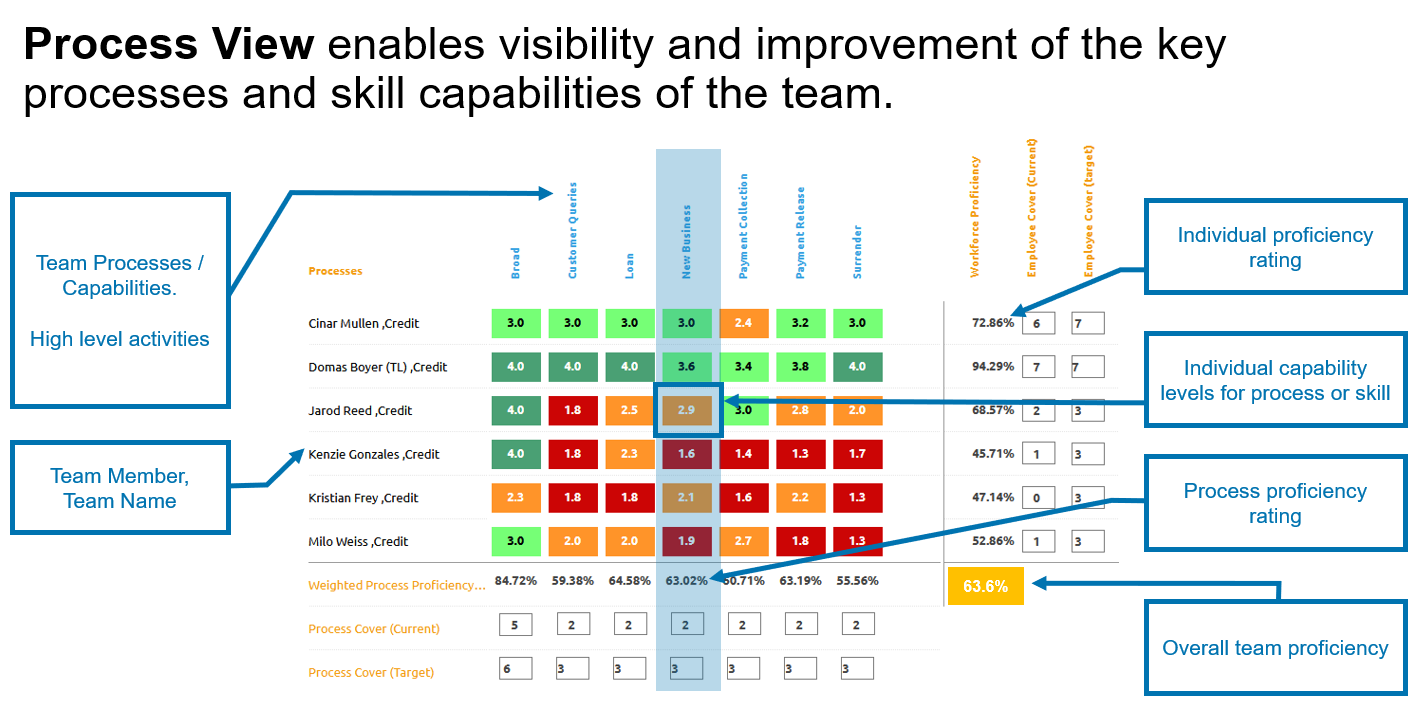 process level skills matrix and capability framework in ability6